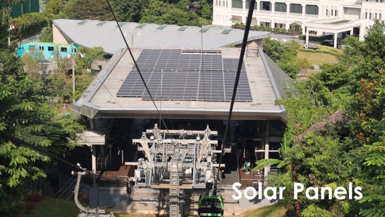 For-Sustainability-Webpage-7