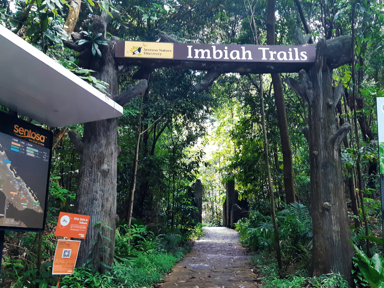 Untitled design - 2025-05-29T015825.499