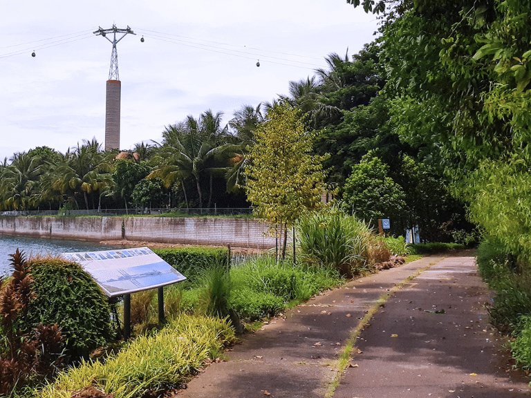 Untitled design - 2025-05-29T020034.390