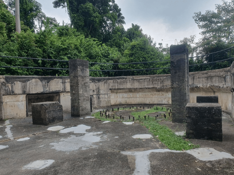 Untitled design - 2025-06-03T161848.287