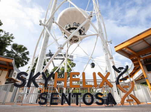 Untitled design (85)