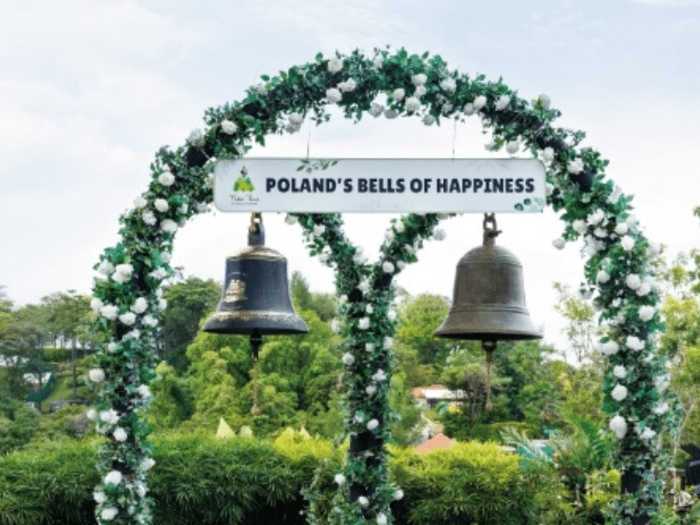 Untitled design (94)