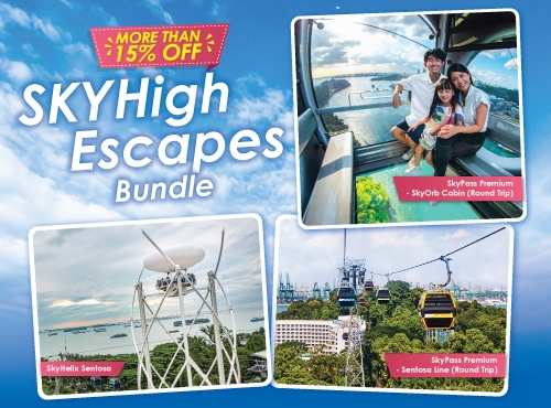 #0955_B2C_FY2425-SKYHigh-Escapes_500-x-370-(Oct-2025)