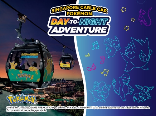 500-x-370_Pokemon_Night