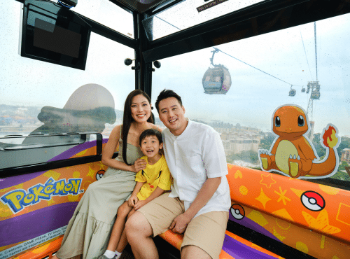 Pokemon Cable Car_Family_04