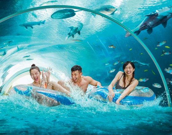 New-Web_560-x-440_Adventure-Cove